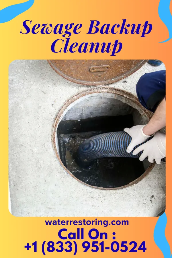 Sewage Backup Cleanup in Ropesville, TX