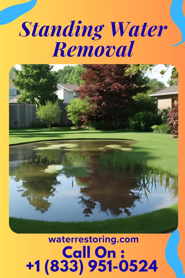 Standing Water Removal in Ropesville, TX